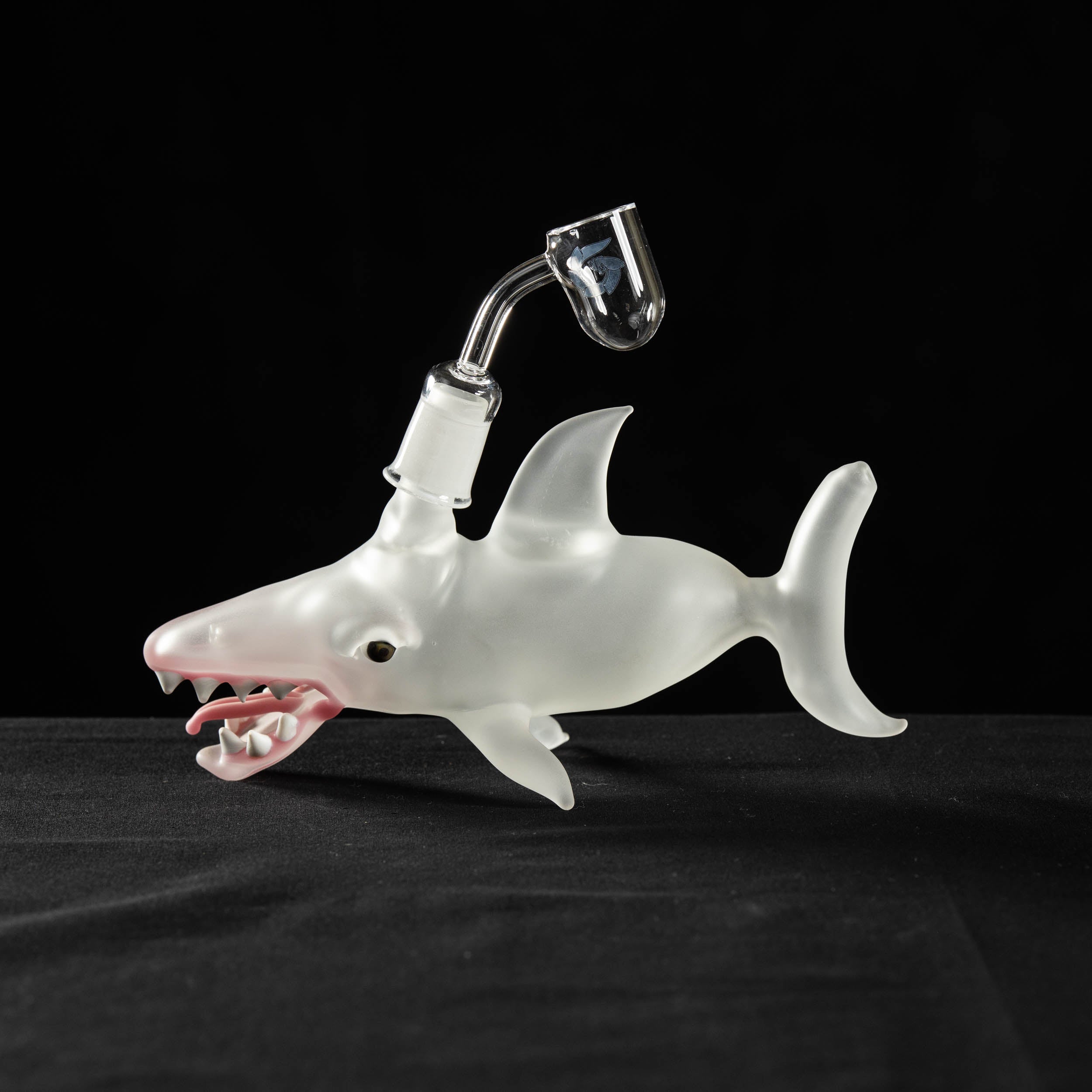 #1167: White Shark